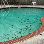 How Often You Need Pool Filter Cleaning?